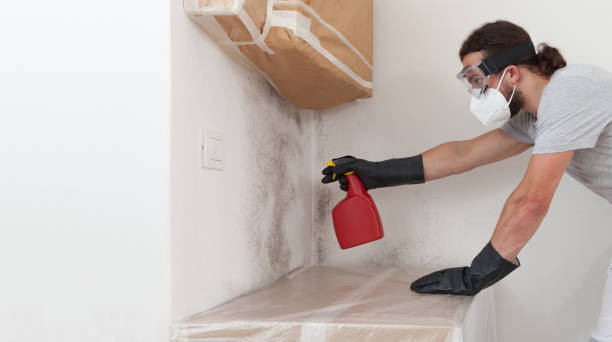 Professional Hvac And Air Duct Mold Remediation technician working in Marlboro, NY
